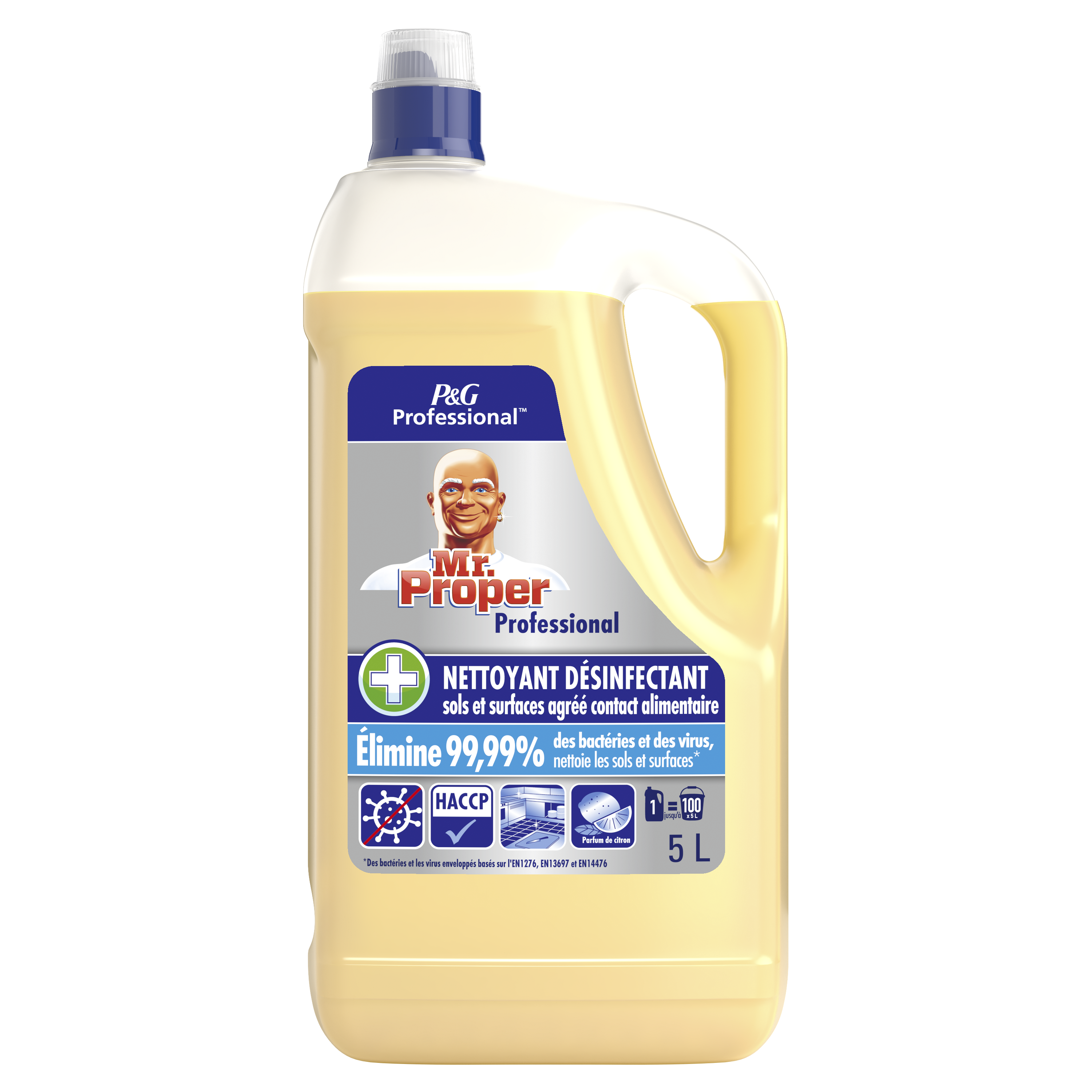 Dégraissant cuisine désinfectant HACCP Mr Propre 750 ml - Dégraissants,  désinfectants