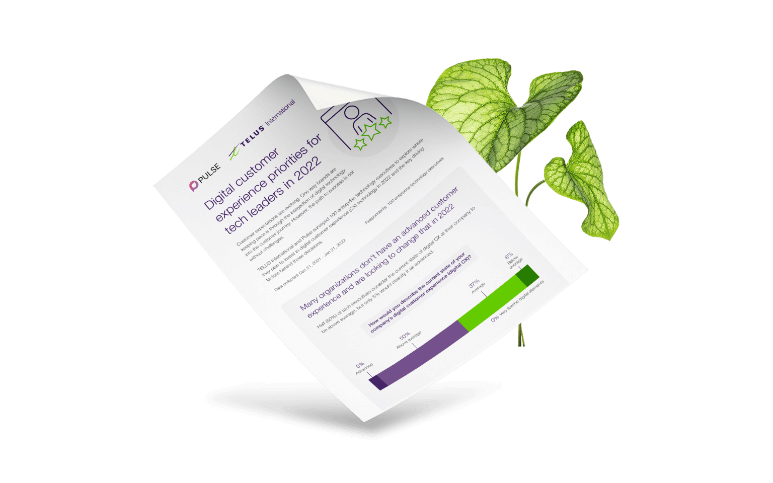 Digital customer experience priorities white paper with green plant in the background