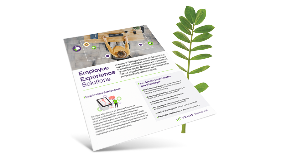 The cover of the Employee Experience Solutions brochure overlaying a green leafy plant.