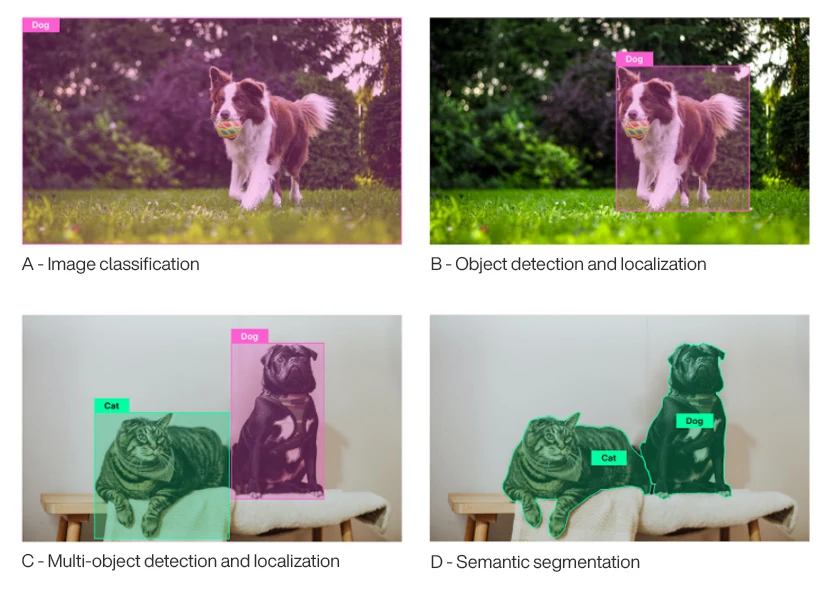 This image contains four separate images labeled A, B, C and D. 

Image A in the top left-hand corner shows a dog with a ball in it's mouth running in a field. There is a pink bounding box around the entire photo with a label reading "Dog." The caption under the image says "A - Image classification". 

Image B in the top right-hand corner shows a dog with a ball in it's mouth running in a field. There is a pink bounding box around just the dog with a label reading "Dog". The caption under the image says "B - Object detection and localization." 

Image C in the bottom left-hand corner shows a dog and a cat sitting together on a bench. There is a pink bounding box around the dog with a label reading "Dog" and a green bounding box around the cat with a label reading "Cat." The caption under the image says "C - Multi-object detection and localization." 

Image D in the bottom right-hand corner shows a dog and a cat sitting together on a bench. There are green outlines around both the dog and the cat separately with corresponding labels reading "Dog" and "Cat." The caption under the image says "D - Semantic segmentation." 