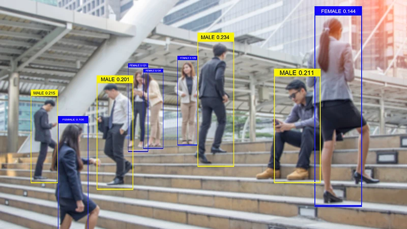 A variety of men and women walking up a set of stairs in a public space. Each man has a yellow bounding box around them, with the label "Male" and each woman has a blue bounding box around them, with the label "Female."