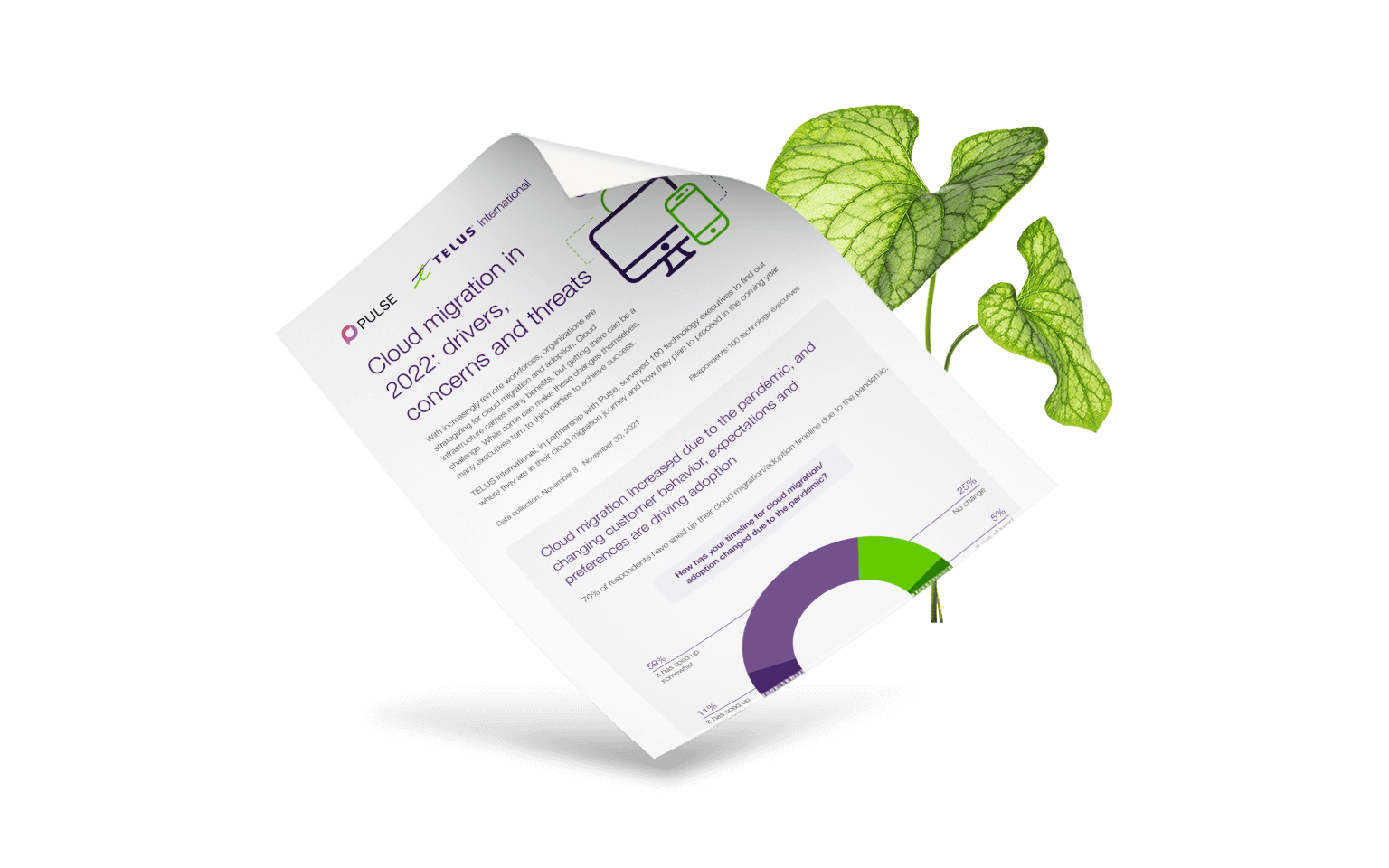 Cloud one minute white paper with plant in the background