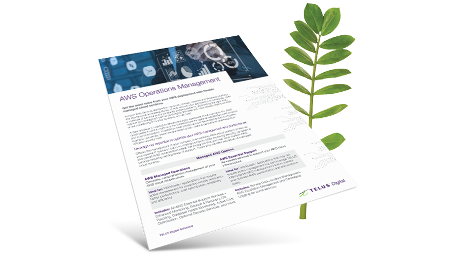 AWS Operations Management brochure cover in front of a fern leaf. 