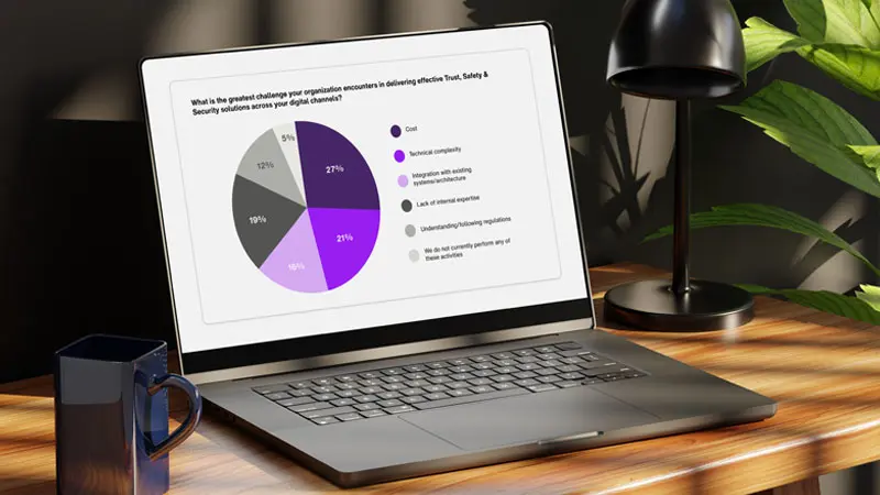 Laptop monitor showing a pie chart. 