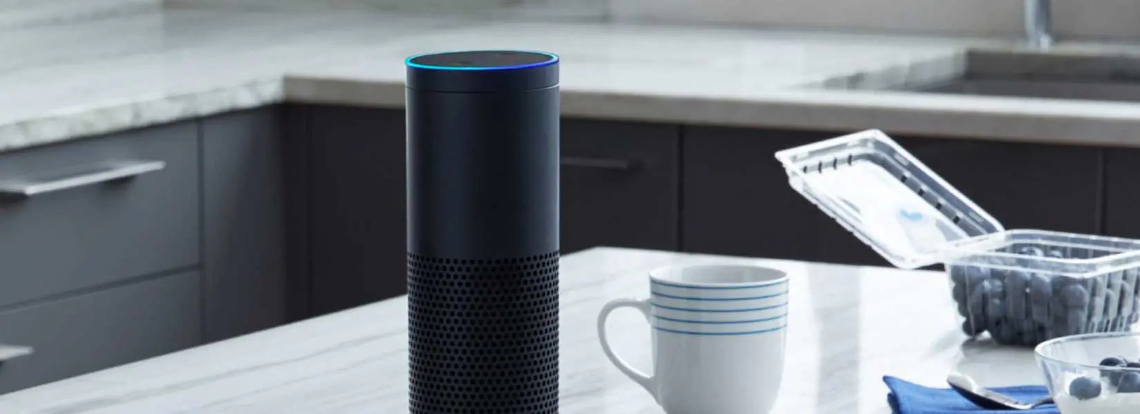 Smart home device sitting atop kitchen counter alongside a mug and blueberries