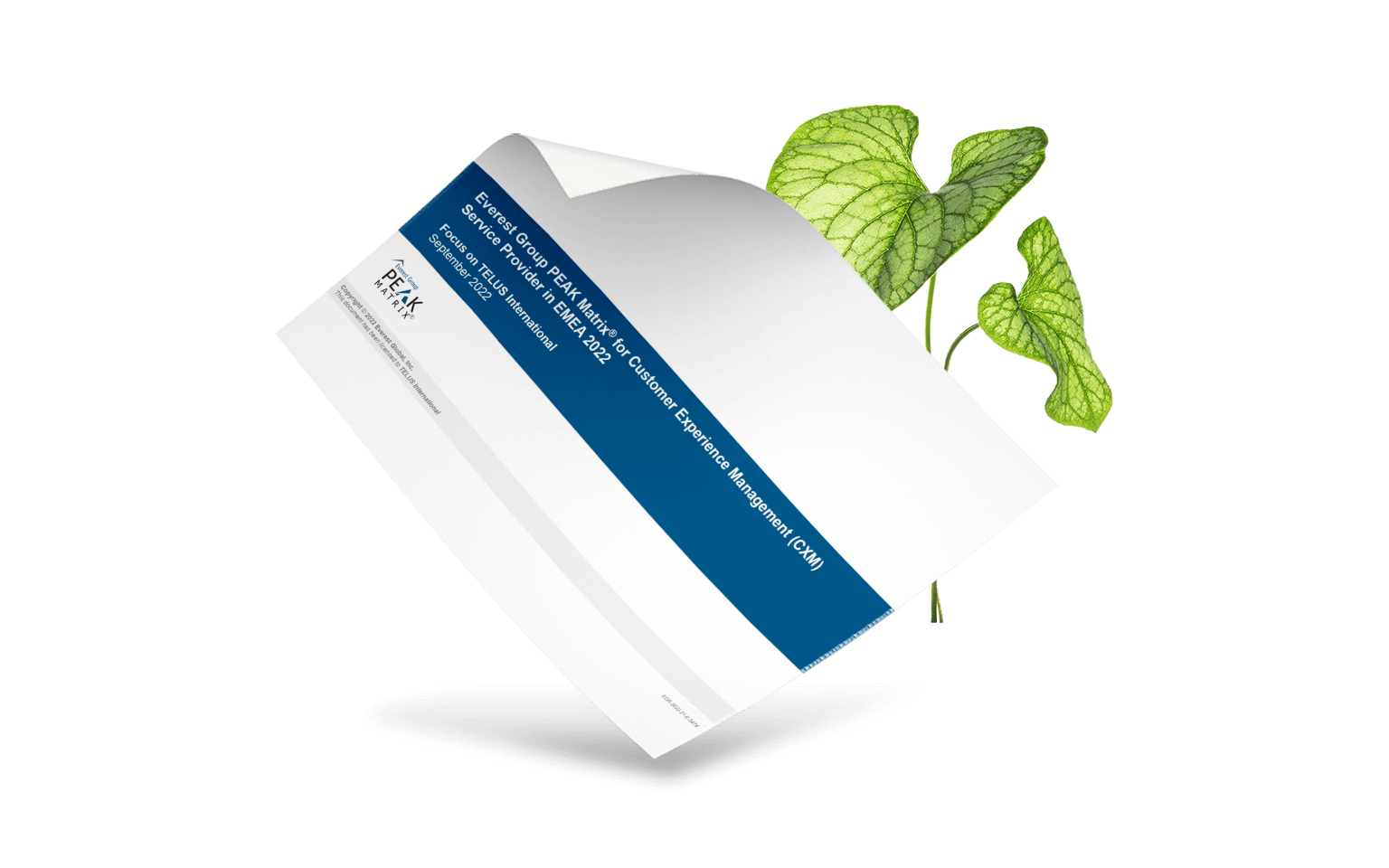 Everest Group's PEAK Matrix assessment overlaying a leafy plant.