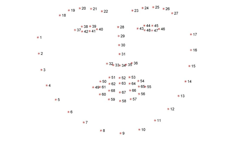 Face embeddings, featuring a map of a human face using numerical data points