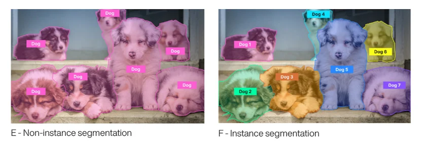 This image contains two separate images labelled E and F. 

Image E on the left-hand side shows seven dogs laying and sitting on stairs. Each dog is outlined and highlighted in pink and labeled "Dog." The caption under the photo reads "E- Non-instance segmentation." 

Image F on the right-hand side shows seven dogs laying and sitting on stairs. Each dog is outlined and highlighted with it's own unique color. The dog furthest to the left is highlighted and outlined with the color pink and labeled "Dog 1." The next dog is highlighted and outlined with the color green and labeled "Dog 2." The next dog is highlighted and outlined with the color orange and labeled "Dog 3." The next dog is highlighted and outlined with the color light blue and labeled "Dog 4." The next dog is highlighted and outlined with the color dark blue and labeled "Dog 5." The next dog is highlighted and outlined with the color yellow and labeled "Dog 6." The next dog is highlighted and outlined with the color purple and labeled "Dog 7." 

The caption under the photo reads "F - Instance segmentation."