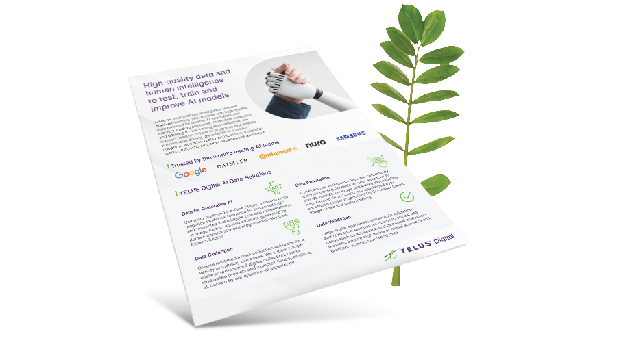 AI Data Solutions brochure in front of a fern leaf. 