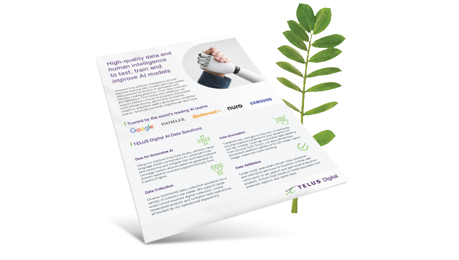 AI Data Solutions brochure in front of a fern leaf. 