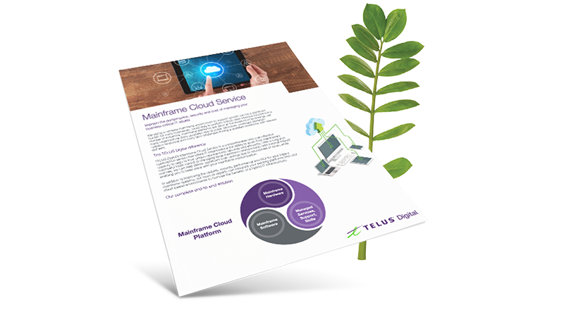 Mainframe Cloud Service brochure cover in front of a fern leaf. 