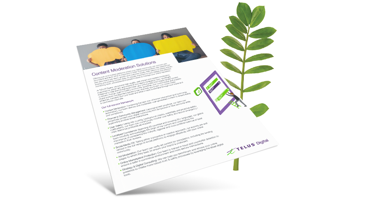 Content Moderation Solutions brochure cover in front of a fern leaf.