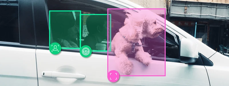 Person driving car with annotations meant to convey human vs non-human occupancy detection