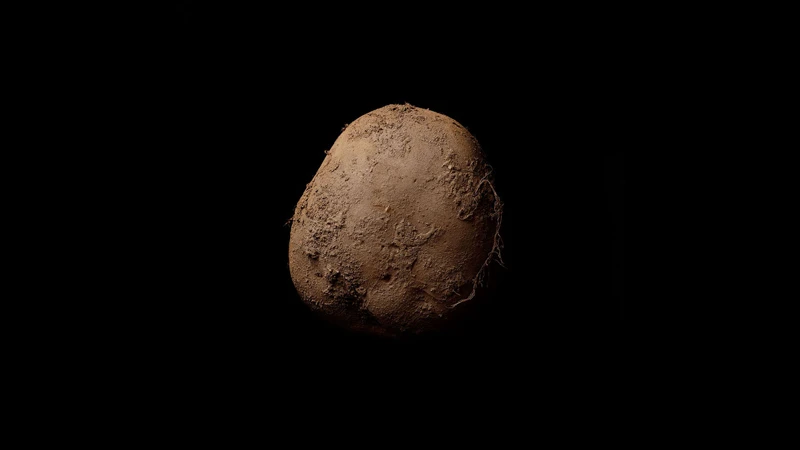 Artist Kevin Abosch's "Potato #345" depicting a potato on a black background