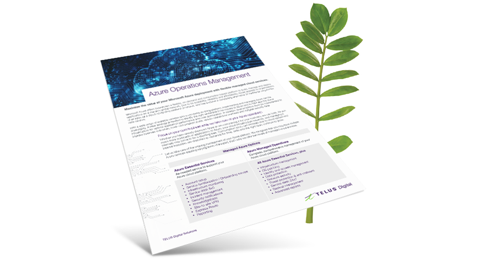 Azure Operations Management brochure cover in front of fern leaf. 