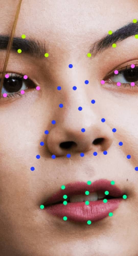 Annotating landmark dots on a face using our platform