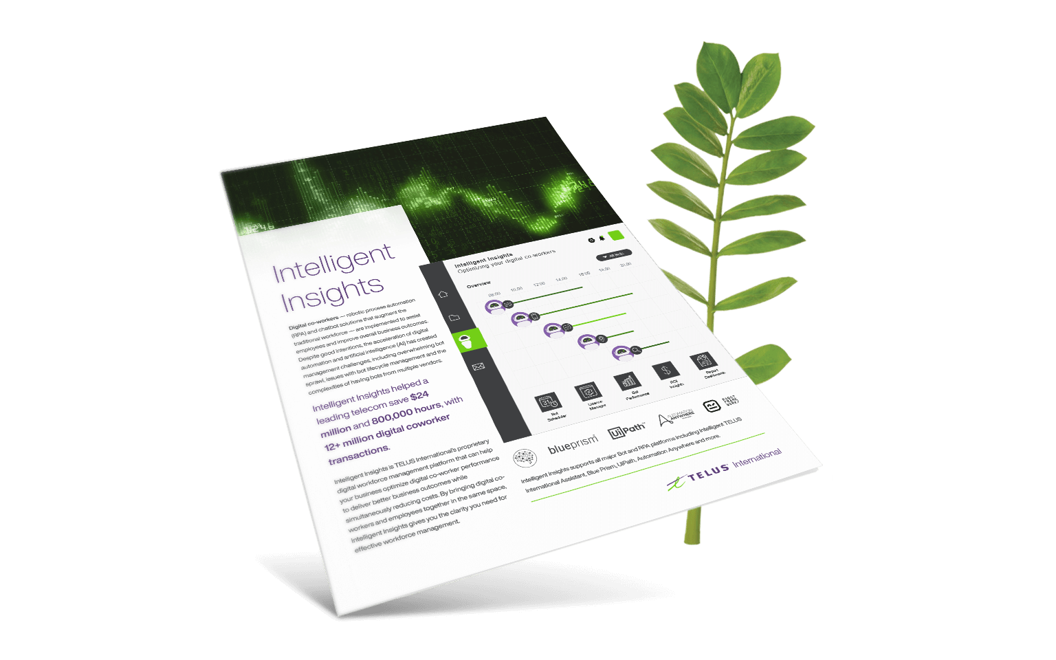 Brochure image in front of a fern 
