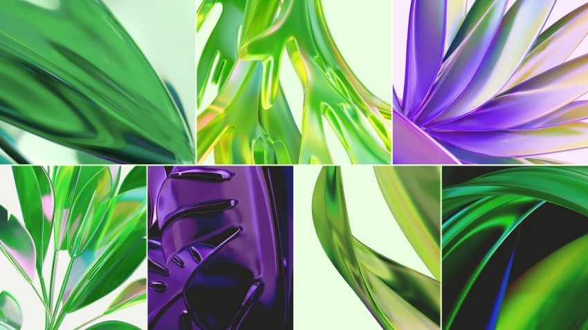 A collage of digitalized elements from nature. 