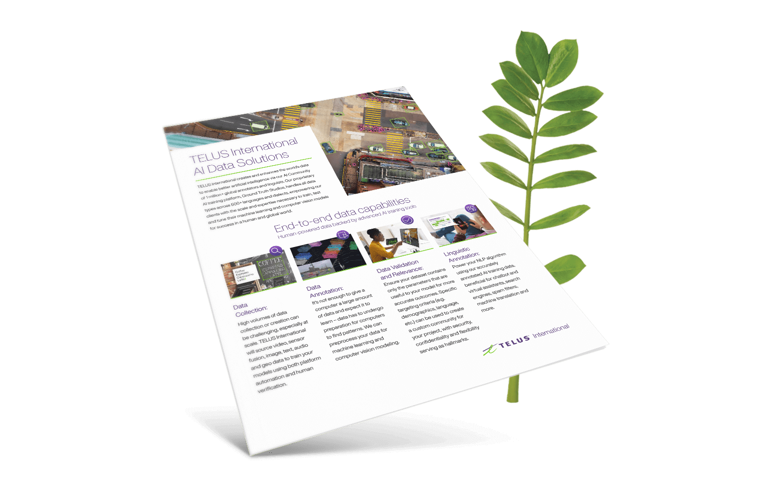 AI Data Solutions brochure in front of a fern.