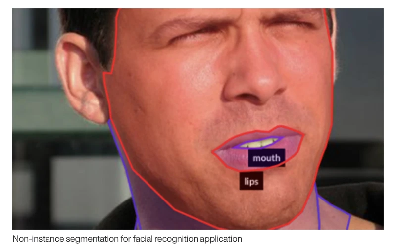 A closeup photo of a middle aged man's face. The man's lips are outlined in red and labeled "lips," the man's teeth are outlined in purple and labeled "mouth," the man's face is outlined in red and the man's neck is outlined in purple. The caption below the image reads: "Non-instance segmentation for facial recognition application."