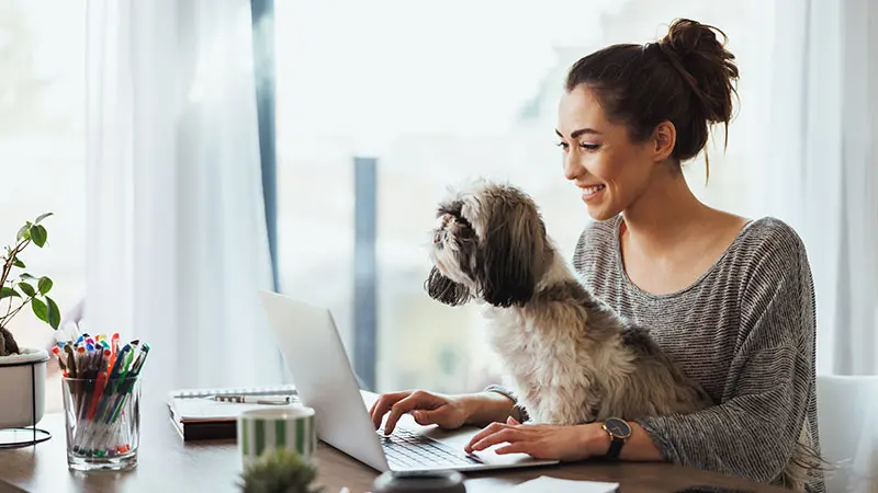 Woman working on her laptop with a small dog sitting in her lap. 