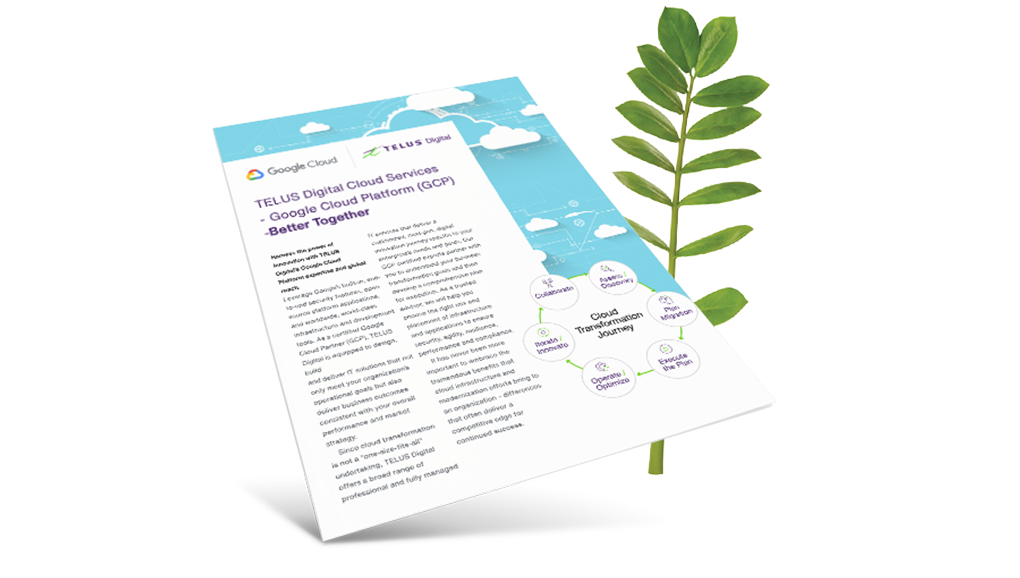 TELUS Digital Cloud Services - GCP brochure cover in front of a fern leaf. 