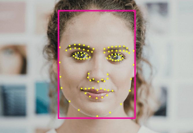 Facial recognition over an image of a person