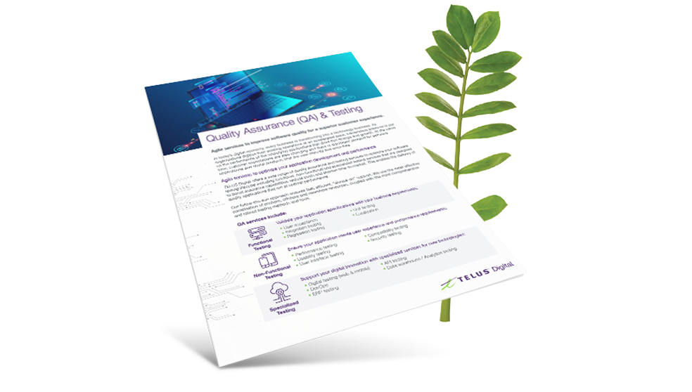 Quality Assurance (QA) & Testing brochure cover in front of a fern leaf. 