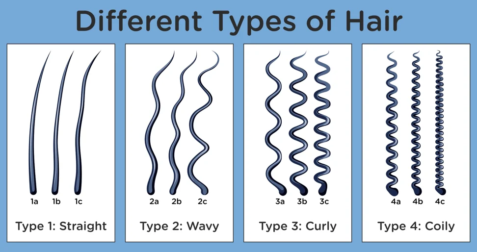 Curly Hair Types