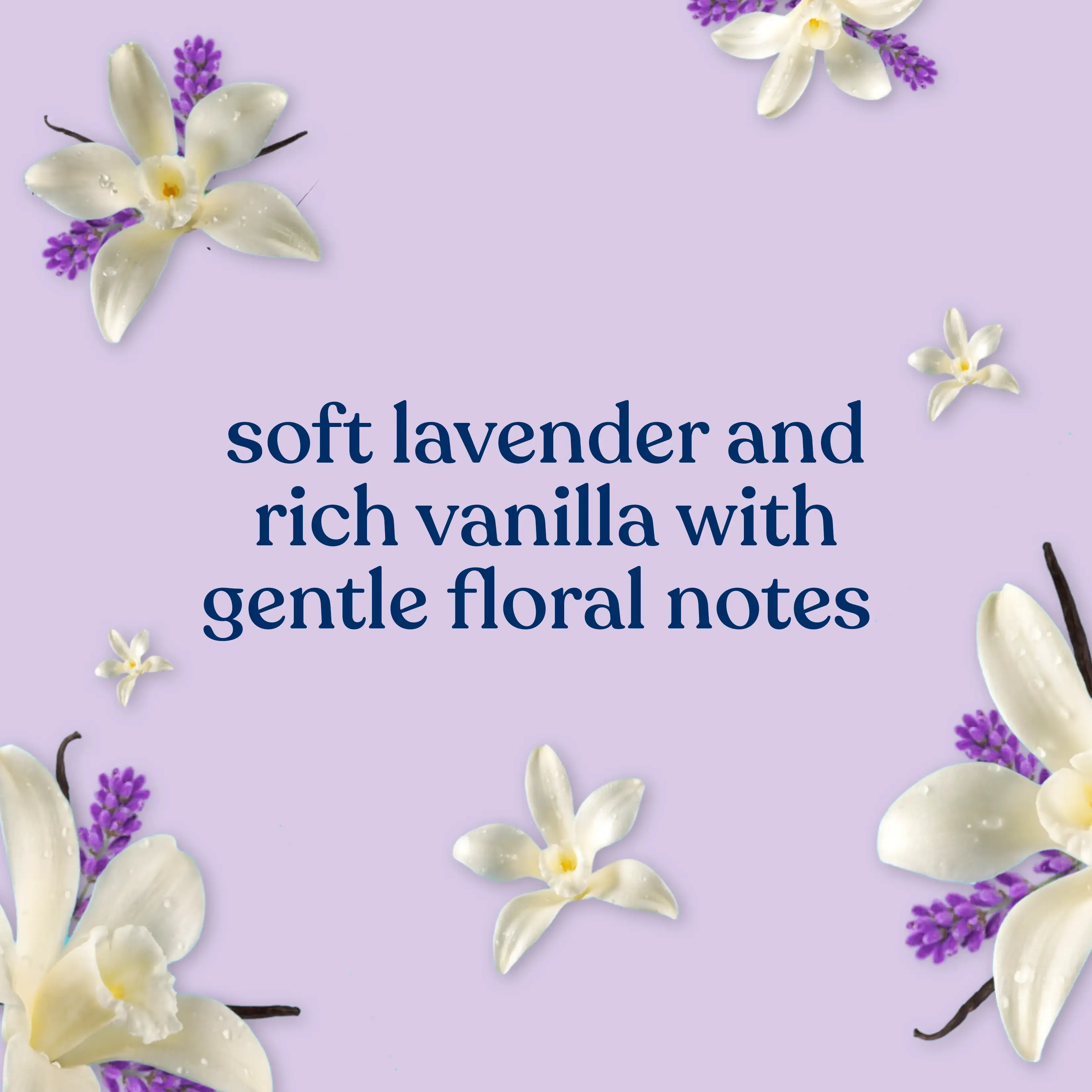 JOHNSON’S® Baby Wash Shampoo soft lavender and rich vanilla with gentle floral notes