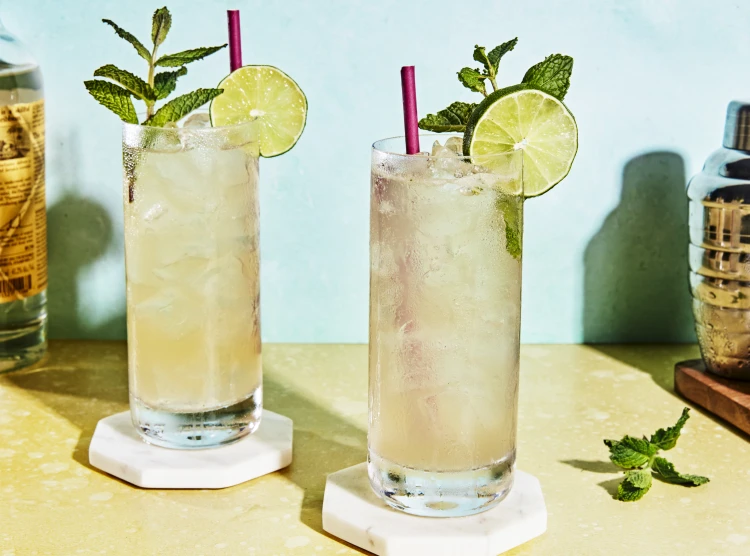 Mojito Recipe - Love and Lemons