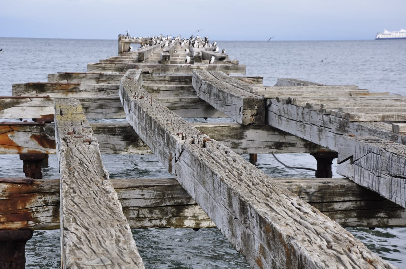 Punta Arenas