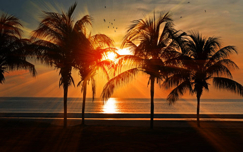 palm beach usa