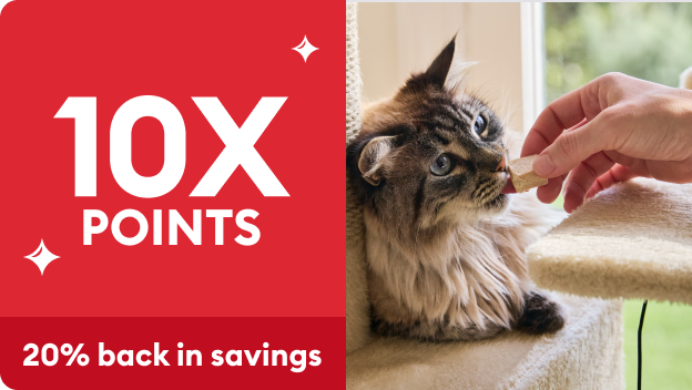 Great Choice® Adoption Box Pet Carrier