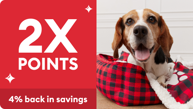 YoPup Apple Cheddar Yogurt Cups All Life Stages Frozen Dog