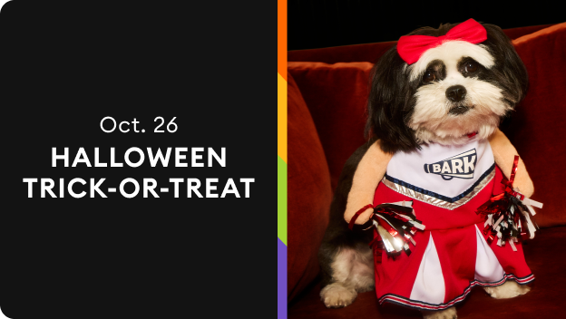 Arctic Mice Frozen Medium Rats