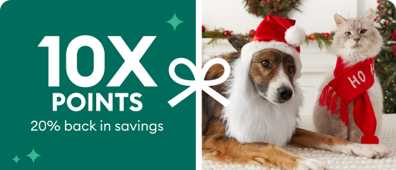 Revolution Plus for Cats 5.6-11 lbs Orange - 3 or 6 Month Supply