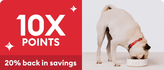 Revolution Plus for Cats 5.6-11 lbs Orange - 3 or 6 Month Supply