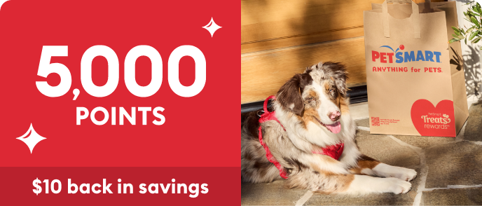 Dog Biscuit Petsmart Free Ice Cream For Dogs 2019 Penn-Plax