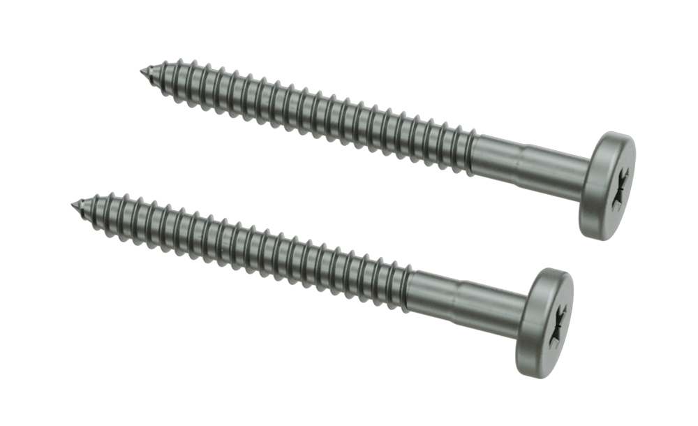 screw-long-rough