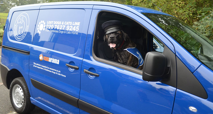 Battersea dogs & cats home shifts up a gear with our van donation