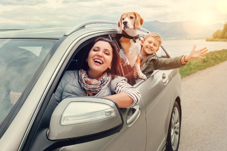 Family-dog-in-car