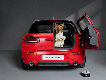 Best cars for dog owners 