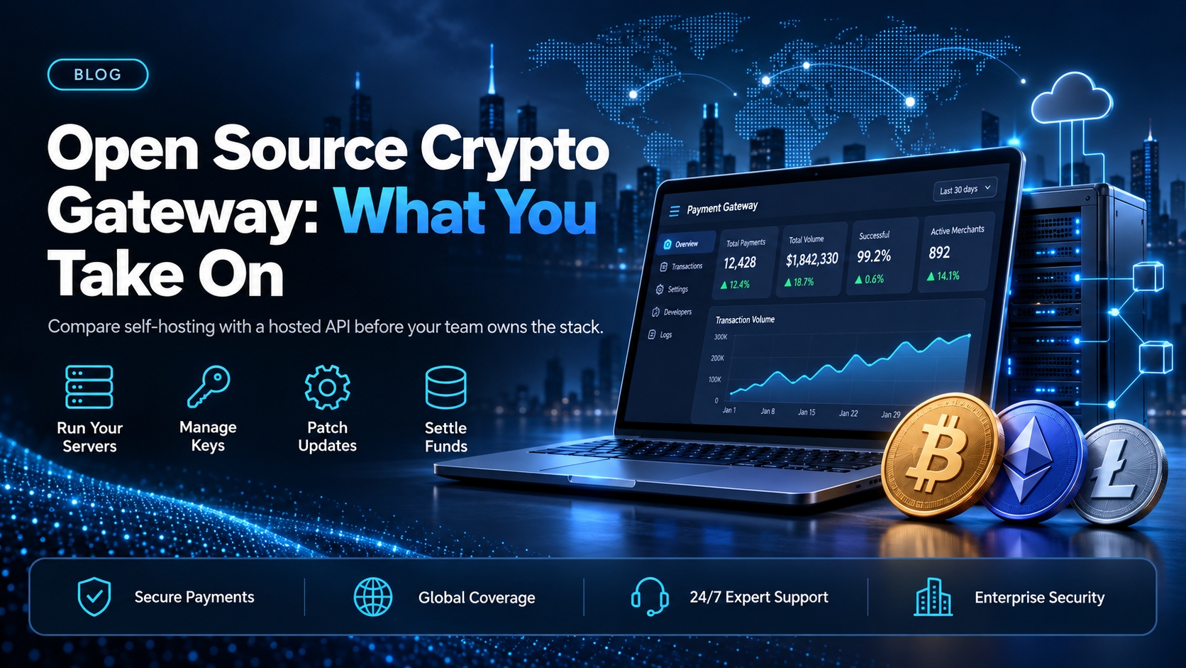 Open source crypto payment gateway: what you take on