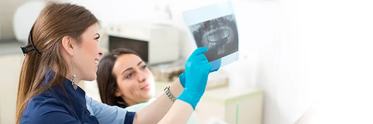 Diş Anatomisi: İnsanlarda kaç diş bulunur? article banner