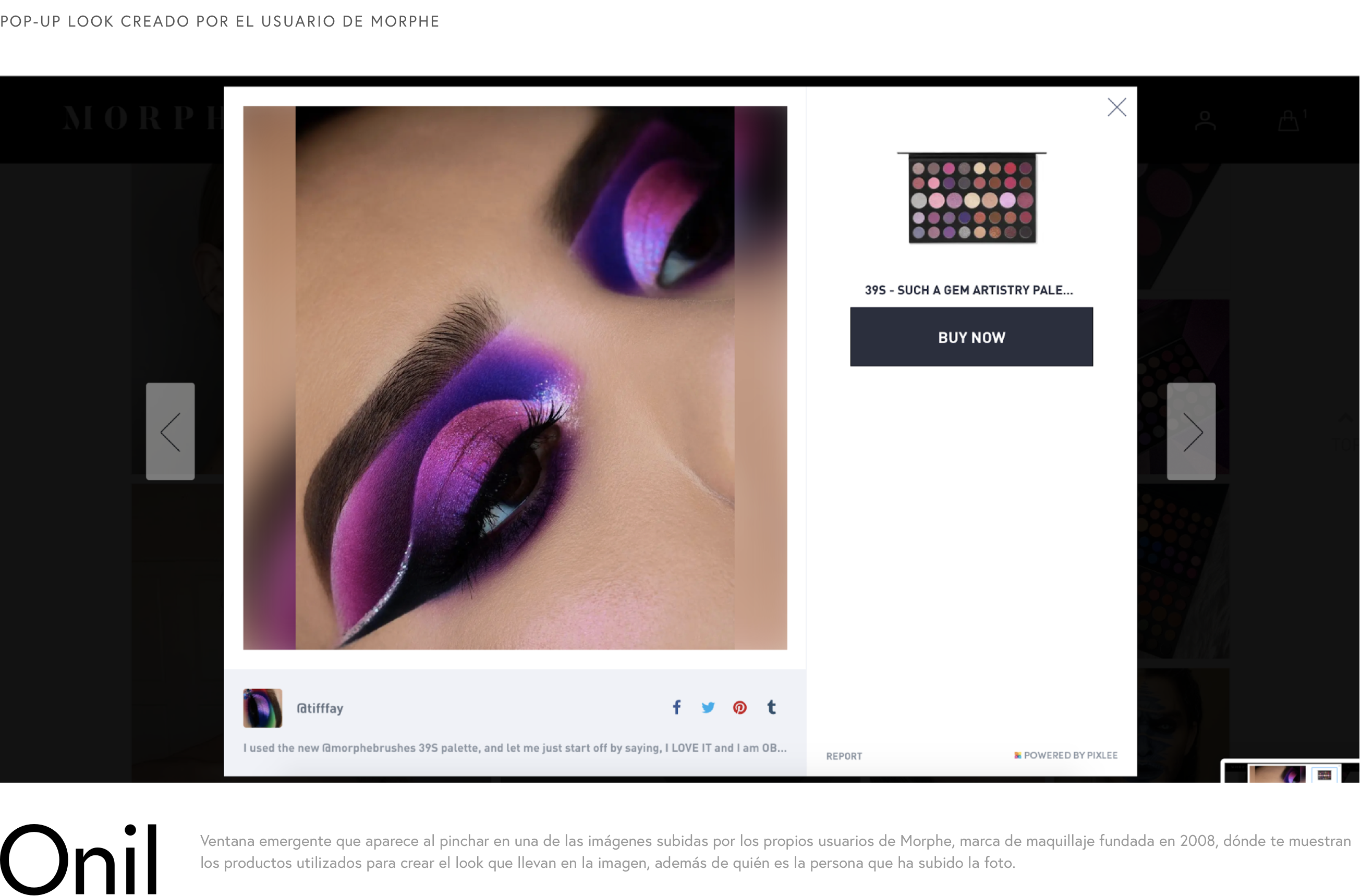 Pop-up look created by the Morphe user - Pop-up window that appears when you click on one of the images uploaded by the Morphe users themselves, where they show you the products used to create the look they wear in the image.