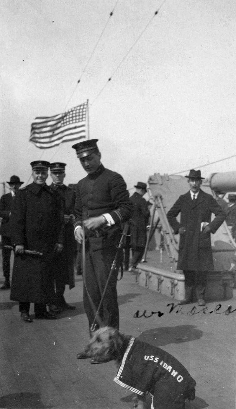 Anchors of Freedom