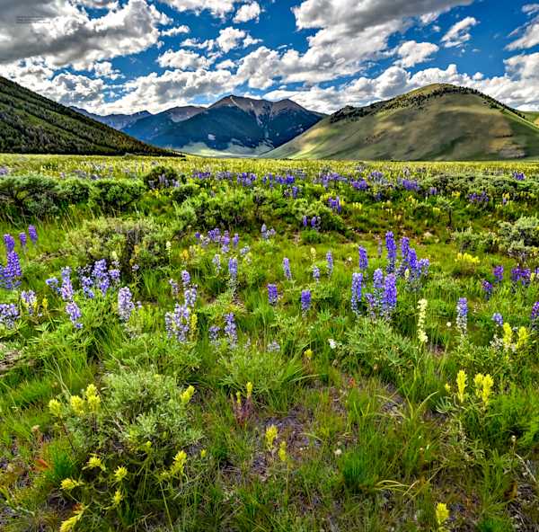 Announcing the First Group of Winning Photographers for the USS IDAHO Photo Contest