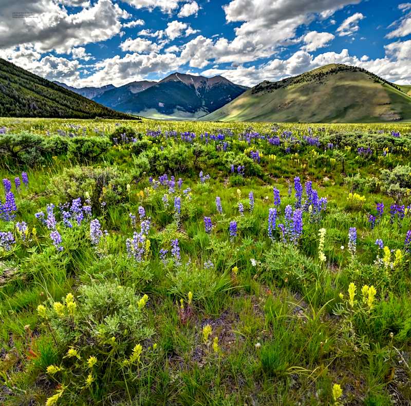Announcing the First Group of Winning Photographers for the USS IDAHO Photo Contest