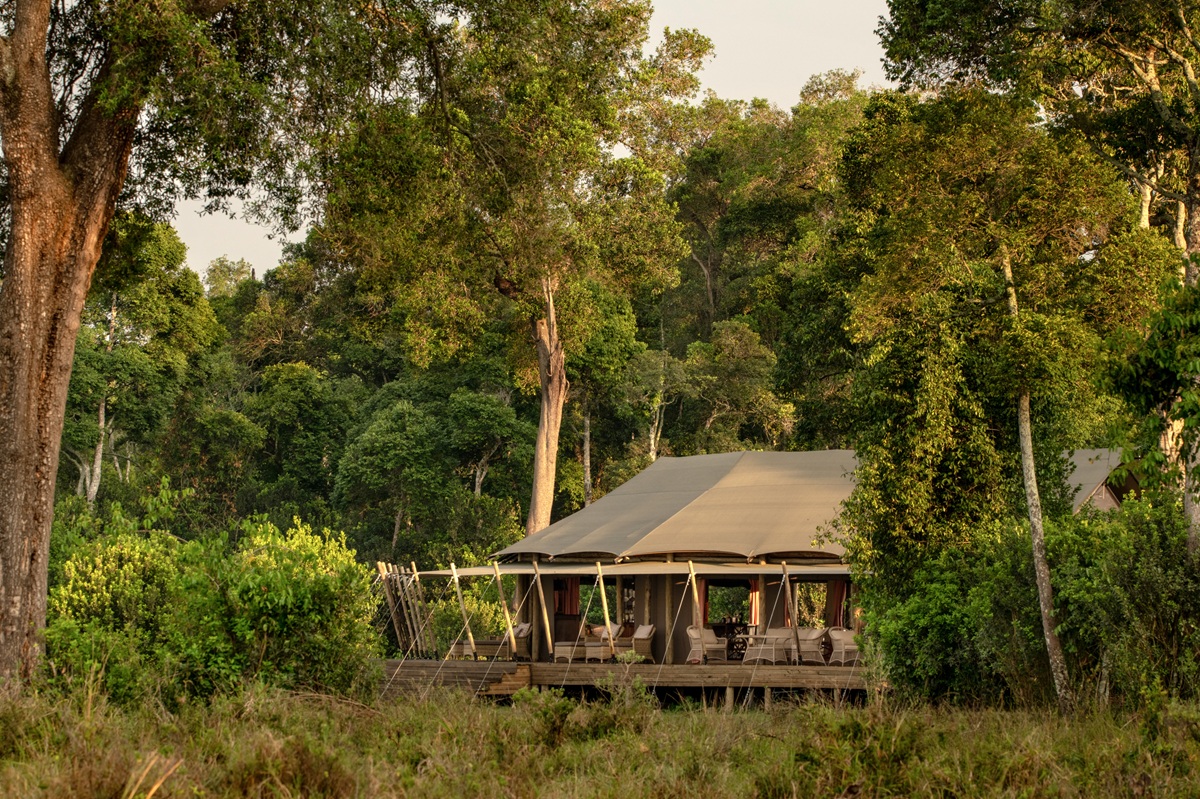 Tent Paradise Plains